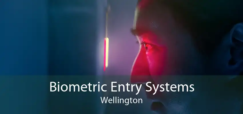 Biometric Entry Systems Wellington