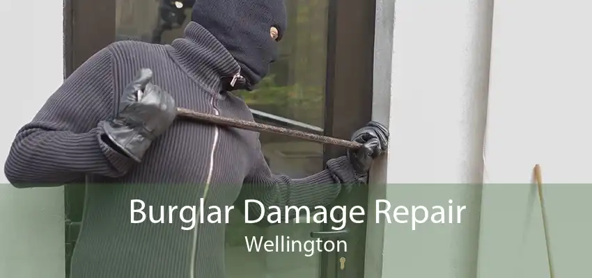 Burglar Damage Repair Wellington