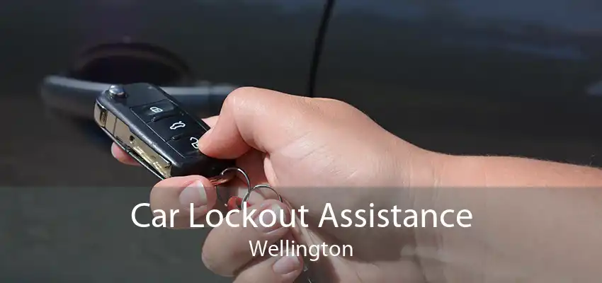 Car Lockout Assistance Wellington