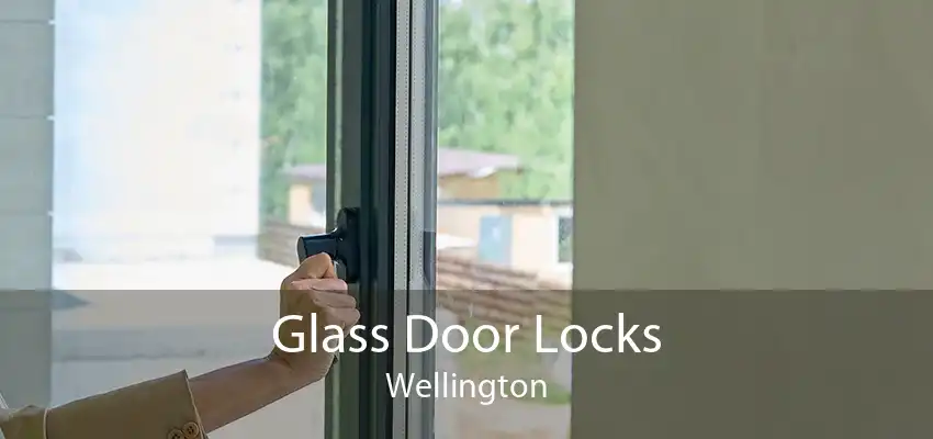 Glass Door Locks Wellington