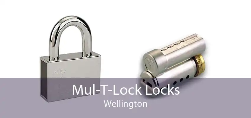 Mul-T-Lock Locks Wellington